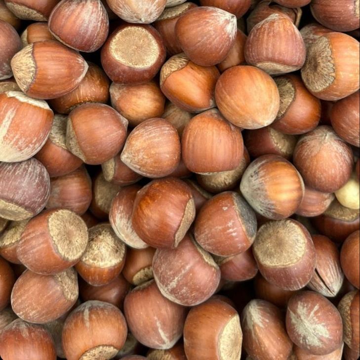 Acorn Nuts