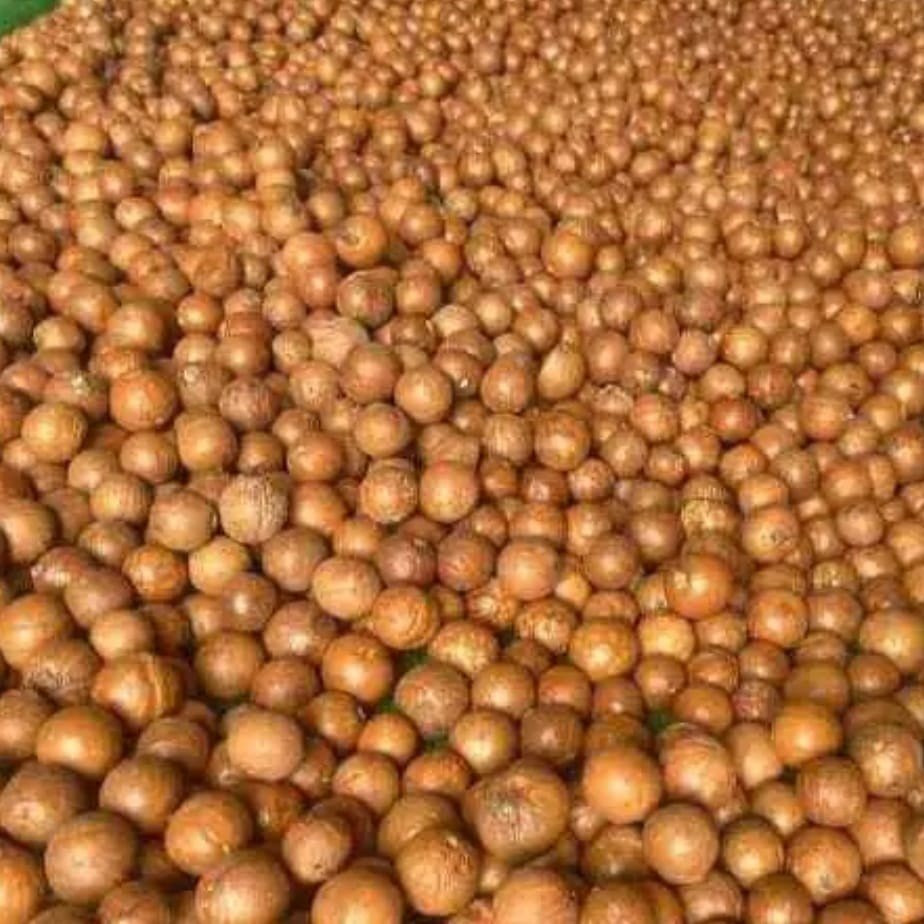 Macadamia Nuts